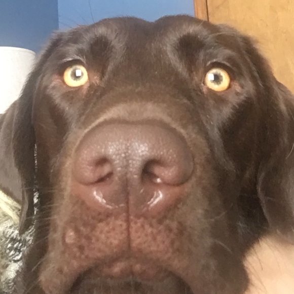 Meet your Posher, Kate - Picture 1 of 1